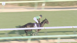 What A Legend! Yutaka Take Lands His Fourth Arima Kinen Aboard Do Deuce! #ドウデュース | #武豊 | #有馬記念 | #競馬