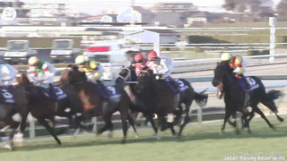 What A Legend! Yutaka Take Lands His Fourth Arima Kinen Aboard Do Deuce! #ドウデュース | #武豊 | #有馬記念 | #競馬