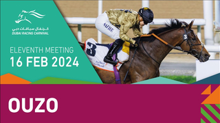 Race #6 – 16.02.24 – Lord Glitters Handicap Presented by Al Tayer Motors Handicap