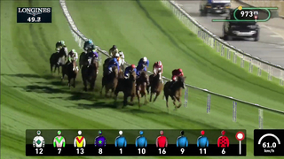 Race #6 – 16.02.24 – Lord Glitters Handicap Presented by Al Tayer Motors Handicap