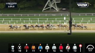 Race #5 – 16.02.24 – Defender 110 Country Edition Handicap