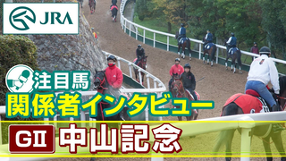 Attention Horse - Interview with Stakeholders] 2024 Nakayama Kinen | JRA Official