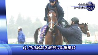 Attention Horse - Interview with Stakeholders] 2024 Nakayama Kinen | JRA Official