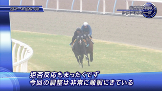 Attention Horse - Interview with Stakeholders] 2024 Nakayama Kinen | JRA Official