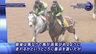 Attention Horse - Interview with Stakeholders] 2024 Nakayama Kinen | JRA Official