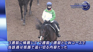 Attention Horse - Interview with Stakeholders] 2024 Nakayama Kinen | JRA Official