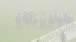 All Races At Glorious Goodwood Day Two Including Paddington's Sussex Stakes!