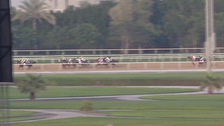 Race #1 – 16.02.24 – Defender X-Dynamic Maiden