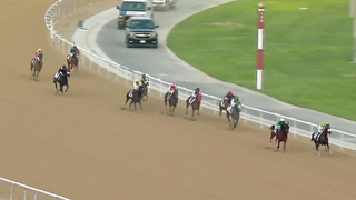 Race #1 – 16.02.24 – Defender X-Dynamic Maiden