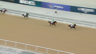 Race #1 – 16.02.24 – Defender X-Dynamic Maiden