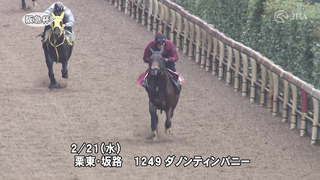Here is the training video for the 2024 Hankyu Hai, officially provided by the Japan Racing Association (JRA).