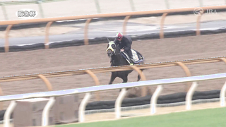 Here is the training video for the 2024 Hankyu Hai, officially provided by the Japan Racing Association (JRA).