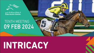 Race #9 - 09.02.24 - National Industries Park Presented by DP World