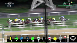 Race #9 - 09.02.24 - National Industries Park Presented by DP World