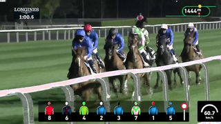 Race #7 - 09.02.24 - Vazirabad Handicap Presented by DP World