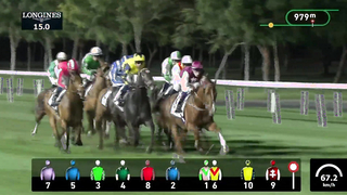 Race #6 - 09.02.24 - Dubai Trophy Presented by DP World
