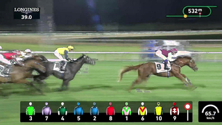 Race #6 - 09.02.24 - Dubai Trophy Presented by DP World