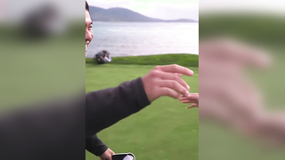 Collin Morikawa Wins AT&T Pebble Beach Pro-Am ?