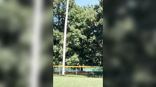 Rajon Rondo - top ranked flag football QB in the U.S.? (via @Frankie ...