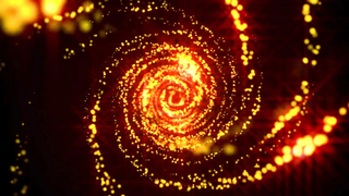 Junior Season 10 Highlights