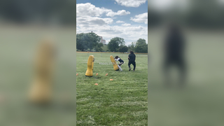 Dline Training