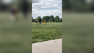 Dline Training
