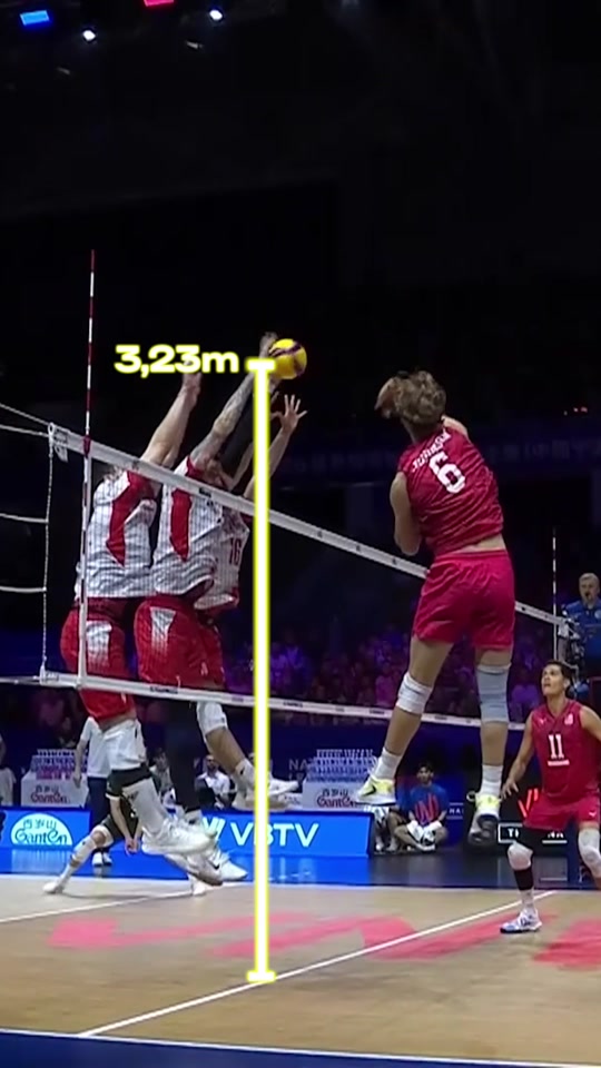 And Bro is 2.17m tall 🇵🇱 #volleyball #volleyballworld #vnl #poland