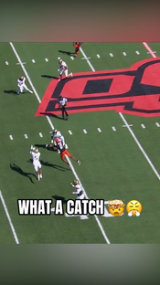How did Justin Bowick catch this? ‍ #cfb #football #collegefootbal...