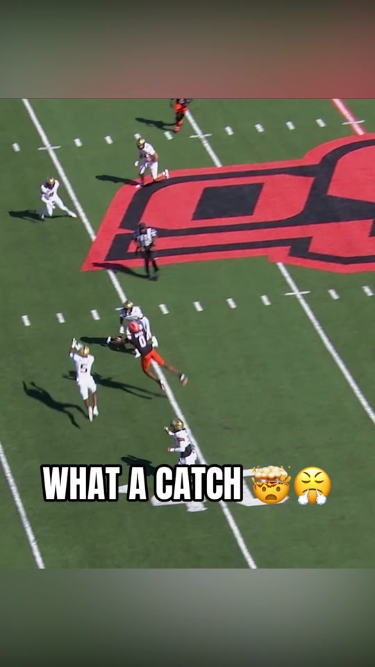 How did Justin Bowick catch this? ‍ #cfb #football #collegefootbal...