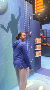 WNBA experience