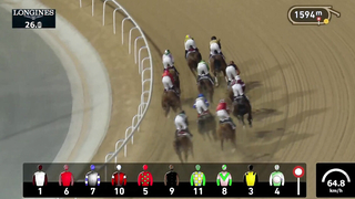 Race #5 - 09.02.24 - Jebel Ali Free Zone (Jafza) Presented by DP World Handicap