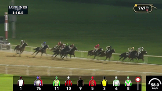 Race #5 - 09.02.24 - Jebel Ali Free Zone (Jafza) Presented by DP World Handicap