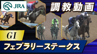 Here is the training video for the 2024 February Stakes, officially provided by the Japan Racing Association (JRA).