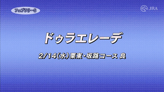 Here is the training video for the 2024 February Stakes, officially provided by the Japan Racing Association (JRA).