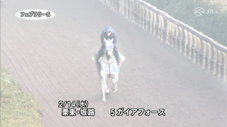 Here is the training video for the 2024 February Stakes, officially provided by the Japan Racing Association (JRA).
