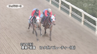 Here is the training video for the 2024 February Stakes, officially provided by the Japan Racing Association (JRA).