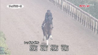 Here is the training video for the 2024 February Stakes, officially provided by the Japan Racing Association (JRA).
