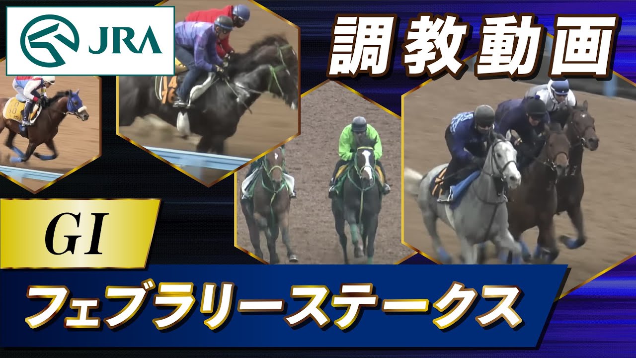 Here is the training video for the 2024 February Stakes, officially provided by the Japan Racing Association (JRA).