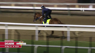 Disarm Work | May 1, 2023