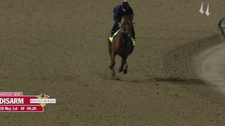 Disarm Work | May 1, 2023