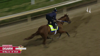 Disarm Work | May 1, 2023