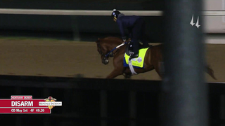 Disarm Work | May 1, 2023