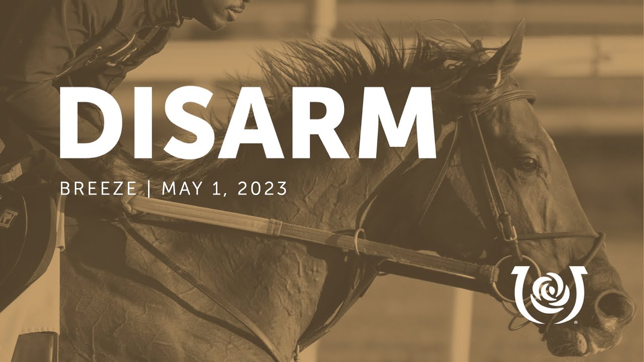 Disarm Work | May 1, 2023