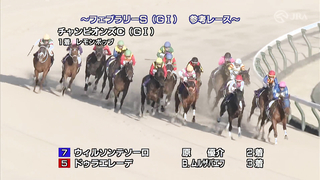 Here is the race reference for the 2024 February Stakes, provided by the Japan Racing Association (JRA)