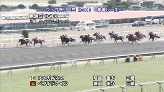 Here is the race reference for the 2024 February Stakes, provided by the Japan Racing Association (JRA)