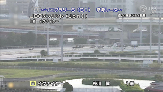 Here is the race reference for the 2024 February Stakes, provided by the Japan Racing Association (JRA)