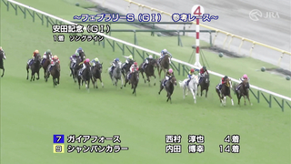 Here is the race reference for the 2024 February Stakes, provided by the Japan Racing Association (JRA)