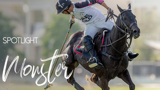 Polo Spotlight - Lucas Monteverde Jr. | UAE Polo El Overo Z7