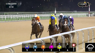 Race #3 - 09.02.24 - We One Presented by DP World