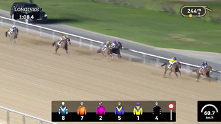 Race #3 - 09.02.24 - We One Presented by DP World